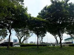 Blk 123 Mcnair Spring (Kallang/Whampoa), HDB 4 Rooms #569398011